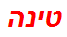 טינה