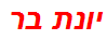 יונת בר