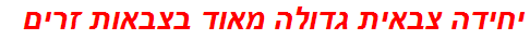 יחידה צבאית גדולה מאוד בצבאות זרים