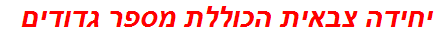 יחידה צבאית הכוללת מספר גדודים