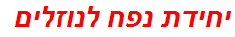 יחידת נפח לנוזלים