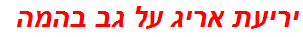 יריעת אריג על גב בהמה