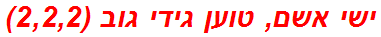 ישי אשם, טוען גידי גוב (2,2,2)