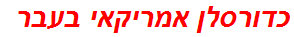 כדורסלן אמריקאי בעבר