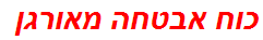כוח אבטחה מאורגן