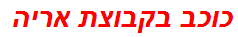 כוכב בקבוצת אריה