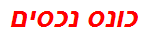 כונס נכסים