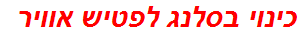 כינוי בסלנג לפטיש אוויר