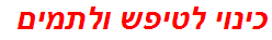 כינוי לטיפש ולתמים