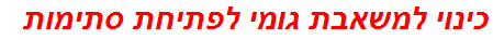 כינוי למשאבת גומי לפתיחת סתימות