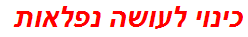 כינוי לעושה נפלאות