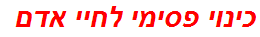 כינוי פסימי לחיי אדם