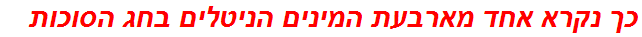 כך נקרא אחד מארבעת המינים הניטלים בחג הסוכות