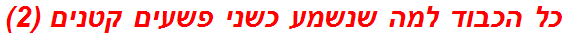 כל הכבוד למה שנשמע כשני פשעים קטנים (2)