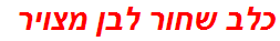 כלב שחור לבן מצויר