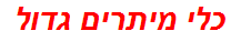 כלי מיתרים גדול