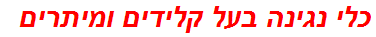 כלי נגינה בעל קלידים ומיתרים
