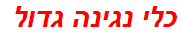 כלי נגינה גדול