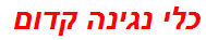 כלי נגינה קדום