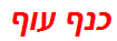 כנף עוף