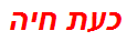 כעת חיה