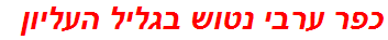 כפר ערבי נטוש בגליל העליון