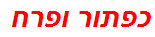 כפתור ופרח