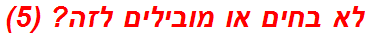 לא בחים או מובילים לזה? (5)