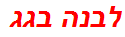 לבנה בגג