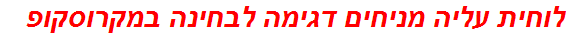 לוחית עליה מניחים דגימה לבחינה במקרוסקופ