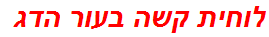 לוחית קשה בעור הדג