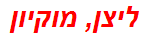 ליצן, מוקיון