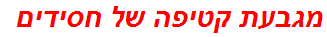 מגבעת קטיפה של חסידים