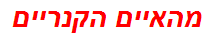 מהאיים הקנריים