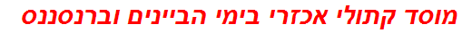 מוסד קתולי אכזרי בימי הביינים וברנסננס