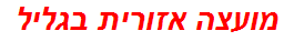 מועצה אזורית בגליל