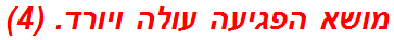 מושא הפגיעה עולה ויורד. (4)