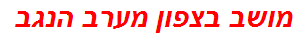 מושב בצפון מערב הנגב