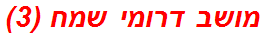מושב דרומי שמח (3)