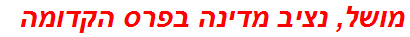 מושל, נציב מדינה בפרס הקדומה