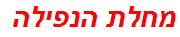 מחלת הנפילה