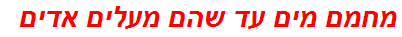 מחמם מים עד שהם מעלים אדים