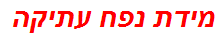 מידת נפח עתיקה