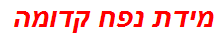 מידת נפח קדומה