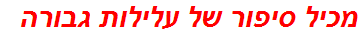 מכיל סיפור של עלילות גבורה