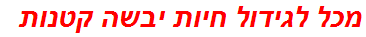 מכל לגידול חיות יבשה קטנות