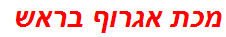 מכת אגרוף בראש