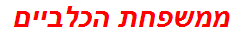 ממשפחת הכלביים