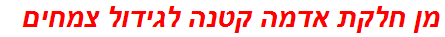 מן חלקת אדמה קטנה לגידול צמחים