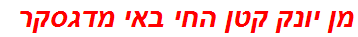 מן יונק קטן החי באי מדגסקר